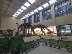 -广西壮族自治区博物馆