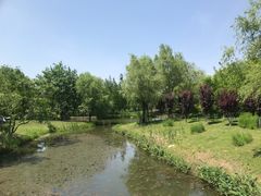 -梁鸿国家湿地公园