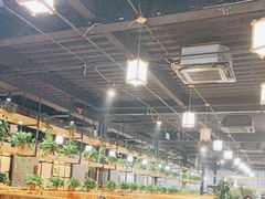 -桃源村铁锅炖鱼(体育馆道店)