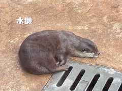 -杭州野生动物世界