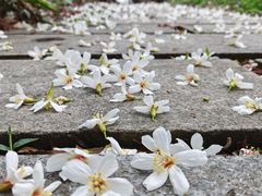 -潜山国家森林公园