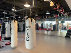 -Uppercut拳馆·Boxing拳击·Muay Thai泰拳