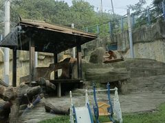 -大连森林动物园