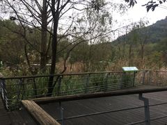 -西湖风景区-江洋畈生态公园