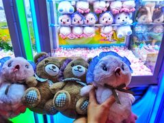 -探险阳光乐园(东区利和店)