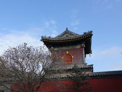 景点-五台山风景名胜区-罗睺寺
