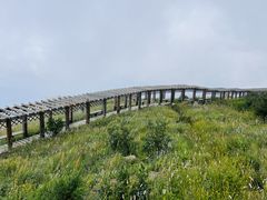 -白草畔自然风景区