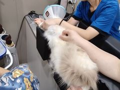-四月宠物医院·猫专科·心脏专科·内科(转塘店)