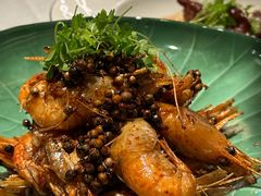 -桂满陇·海市蜃楼·黑金(国金店)