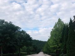 -黄帝陵