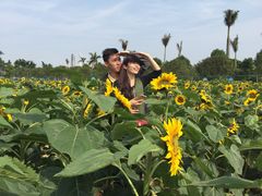 -广州花之恋城堡酒店