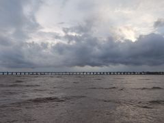 -宝安西湾红树林湿地公园