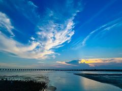 -宝安西湾红树林湿地公园