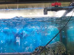 -钱塘府海鲜餐厅