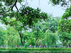 -东山湖公园