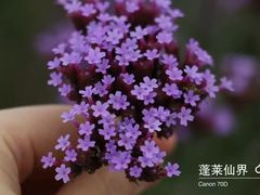 -贵阳蓬莱仙界