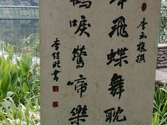 -重庆彩云湖湿地公园