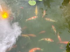 -濮园 · 四合院餐厅