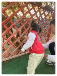 -萌宠亲子动物乐园(槐房万达店)