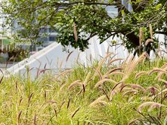 -深圳市宝安体育中心体育场