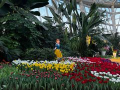 -石家庄市植物园