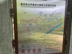 -铁山坪森林公园