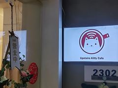 -楼上猫咖(罗湖店)