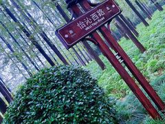 -上海怡沁园度假酒店