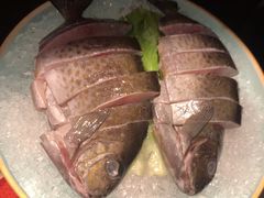 -雾山韩式烤肉·海南糟粕&椰子鸡火锅·海景餐厅(三亚绿发山海天JW万豪酒店)