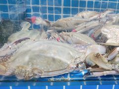 -君霖海鲜私房菜(春柳店)