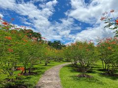 -中国科学院西双版纳热带植物园