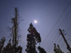 -长虫山生态公园风景林
