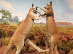 -陕西自然博物馆