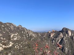 -大岭沟猕猴桃谷风景区