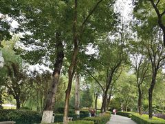 -莲湖公园