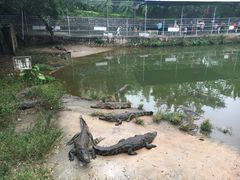 -广东茂名森林公园