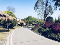 -武汉紫薇都市田园