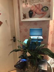 -本真坊美容美体沙龙