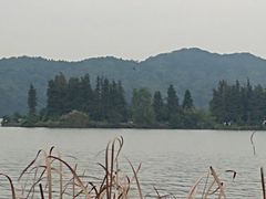 -东湖落雁景区