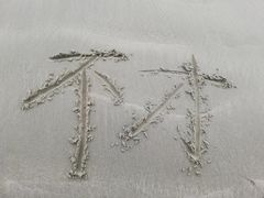 -盐洲岛