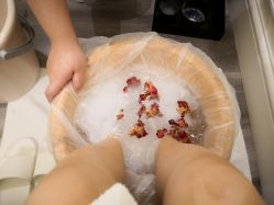 -奥斯芬欧系贵族SPA