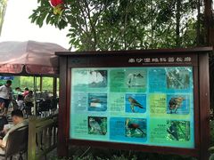 -大湾区中央湿地公园