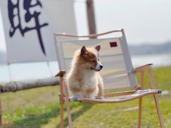 -梁子湖东篱老屋生态庄园