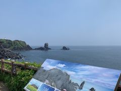 -涉地可支
