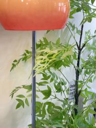 -变美丽半永久纹眉连锁·机器野生眉•洗眉