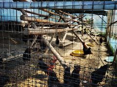 -洪湖家庭农场·团建·露营·会议