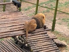 -青藏高原野生动物园