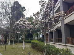 -成都安仁福朋喜来登酒店