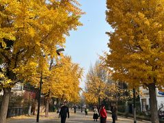 -子霖南山鲜虾面(南山总店)