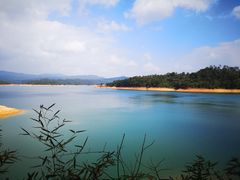 -广州市流溪河国家森林公园